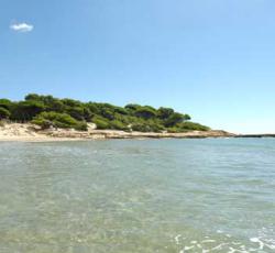 Las Palmeras Camping Bungalow