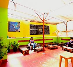 The Melting Pot Hostel