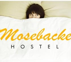 Mosebacke Hostel