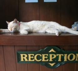 Hostelling International Bangkok