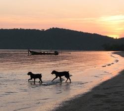 Long Beach Bungalows