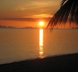 Phangan Beach Resort