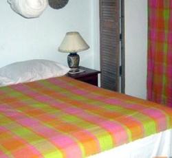 Kias Across from the Beach