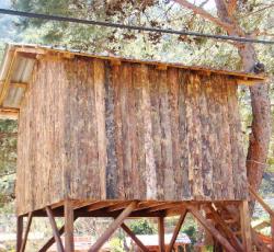 Saban Treehouse