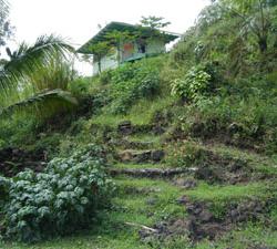 Hedonisia Hawaii Eco-Hostel