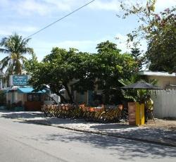 Key West Youth Hostel Sea Shell Motel